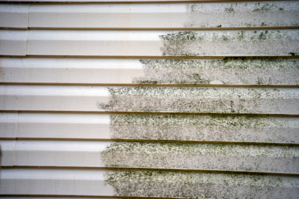 Affordable siding repair and maintenance services in Dublin, GA