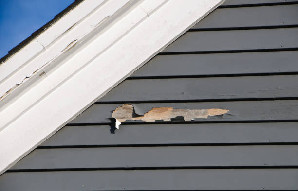 Affordable siding repair and maintenance services in Dublin, GA